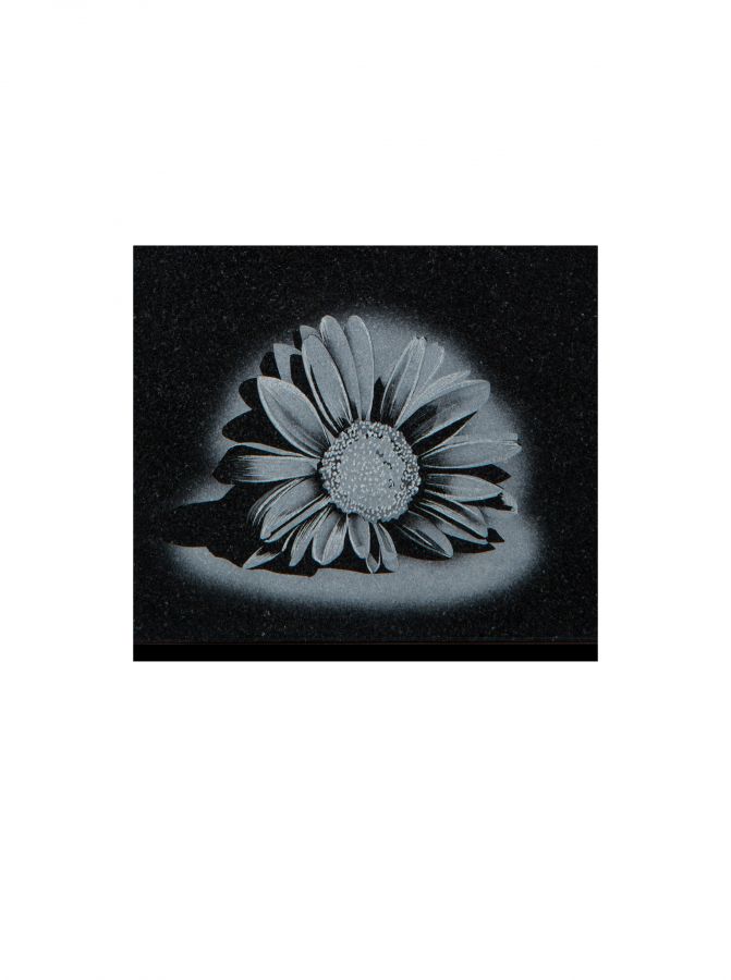 D012: Swipe To View More Images