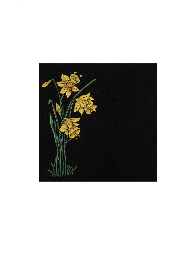D005: Swipe To View More Images