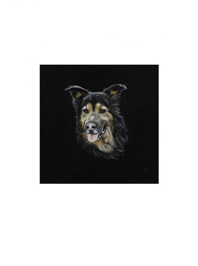 D006: Swipe To View More Images