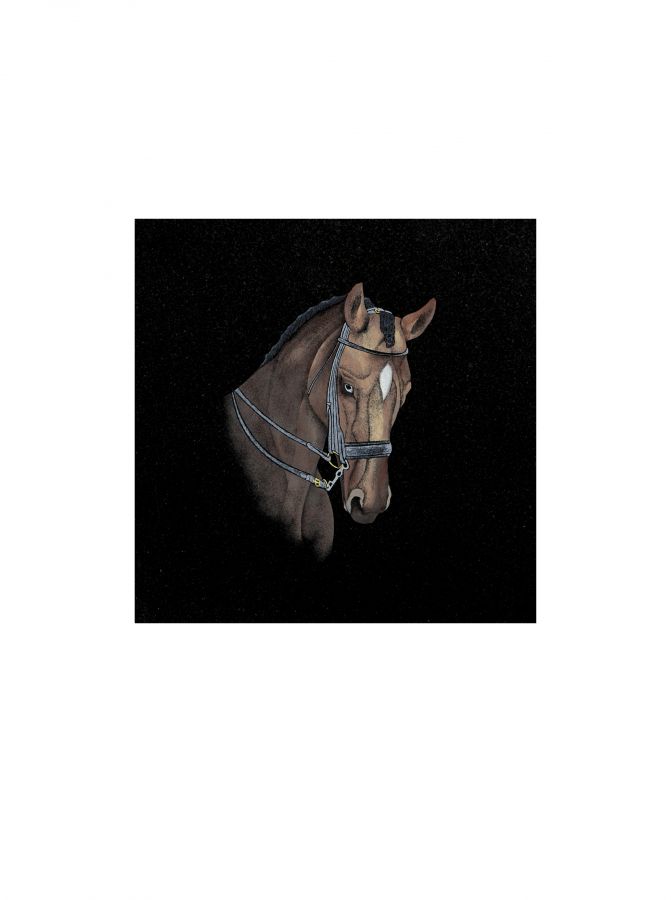 D007: Swipe To View More Images