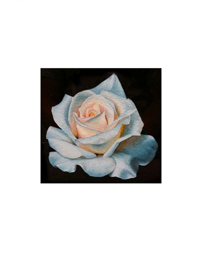 D009: Swipe To View More Images